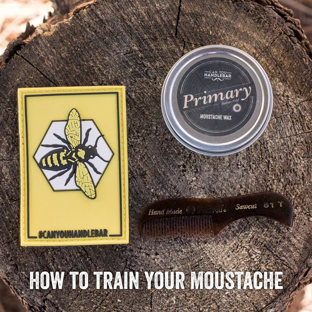 How to Train Your Moustache