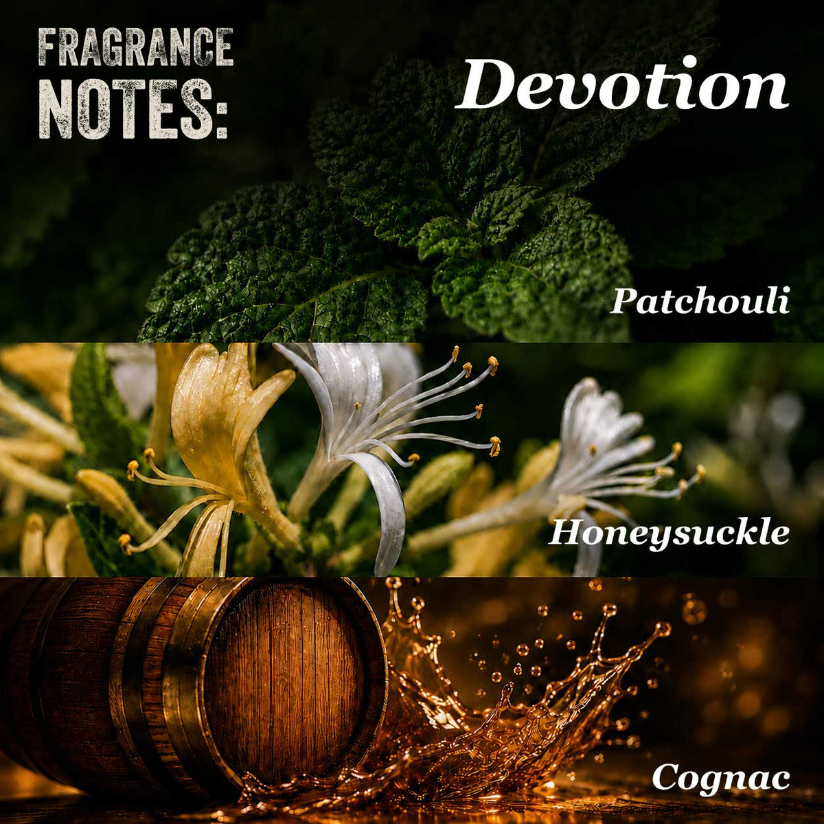 Devotion Dry Oil: Rugged Patchouli Beard Balm
