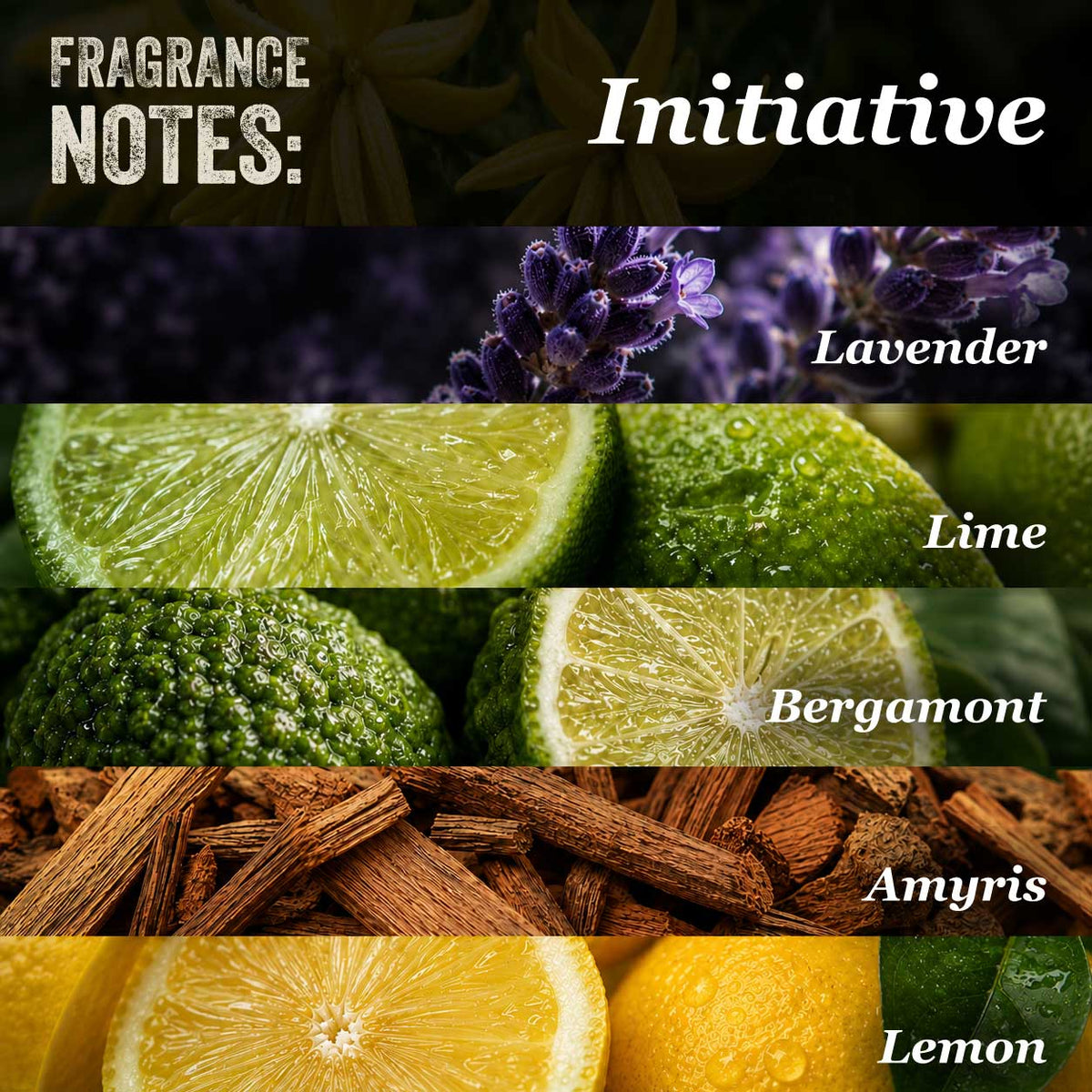 Initiative Beard Oil: Citrus Beard Care