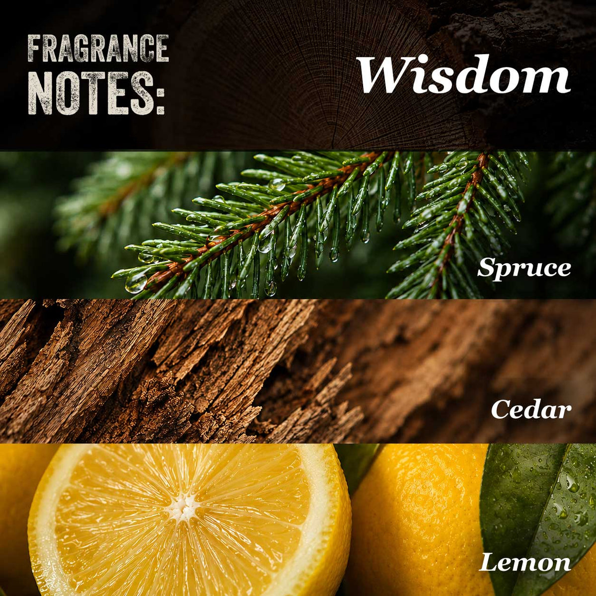 Wisdom Dry Oil: Bright and Woodsy Beard Balm
